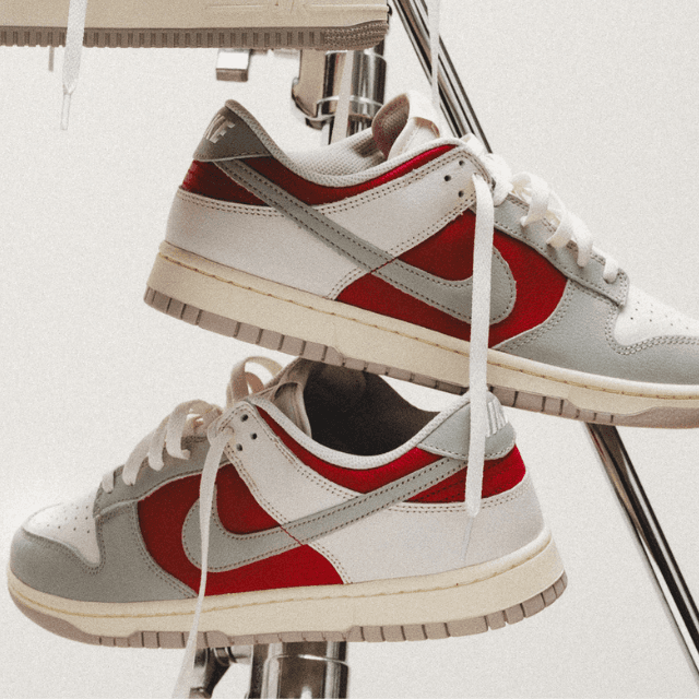 Nike Dunk Low Retropicture